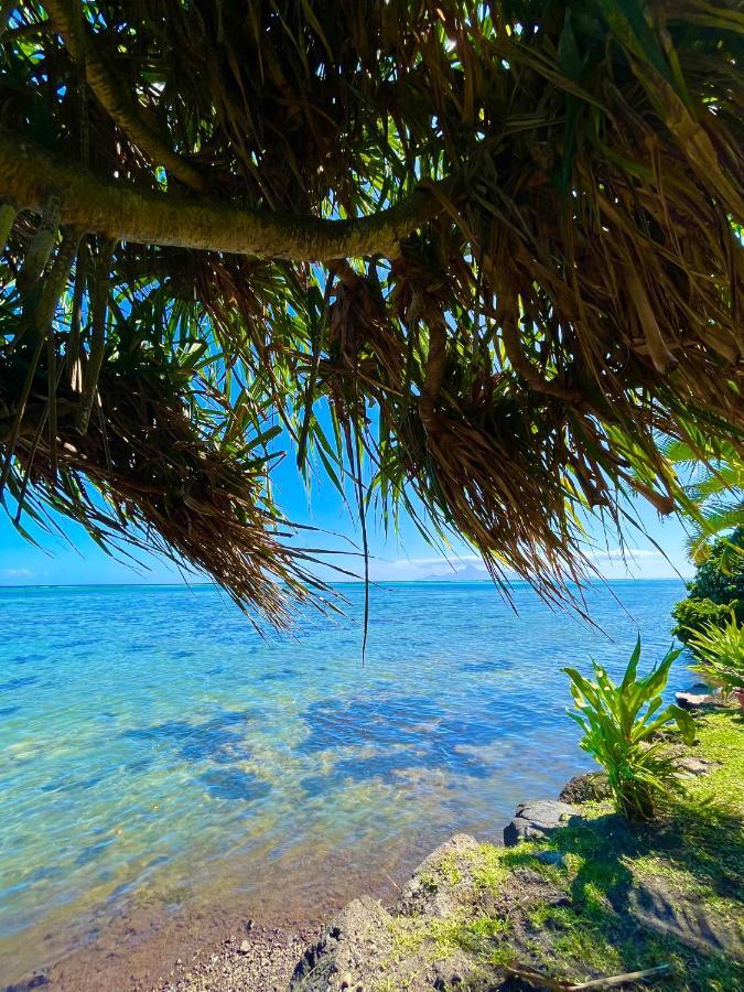 O'Coco Bungalow- Breathtaking Waterfront Views, Endless Memories Paea Dış mekan fotoğraf