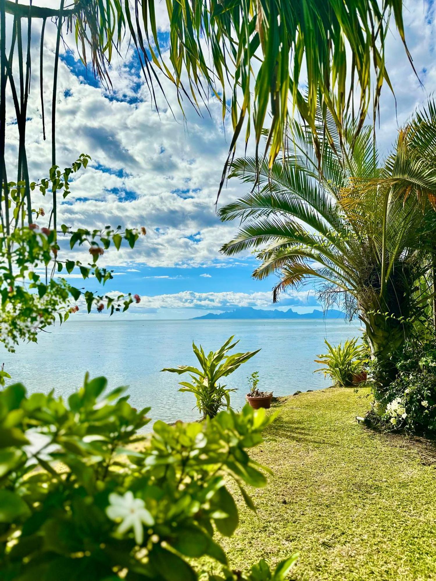 O'Coco Bungalow- Breathtaking Waterfront Views, Endless Memories Paea Dış mekan fotoğraf